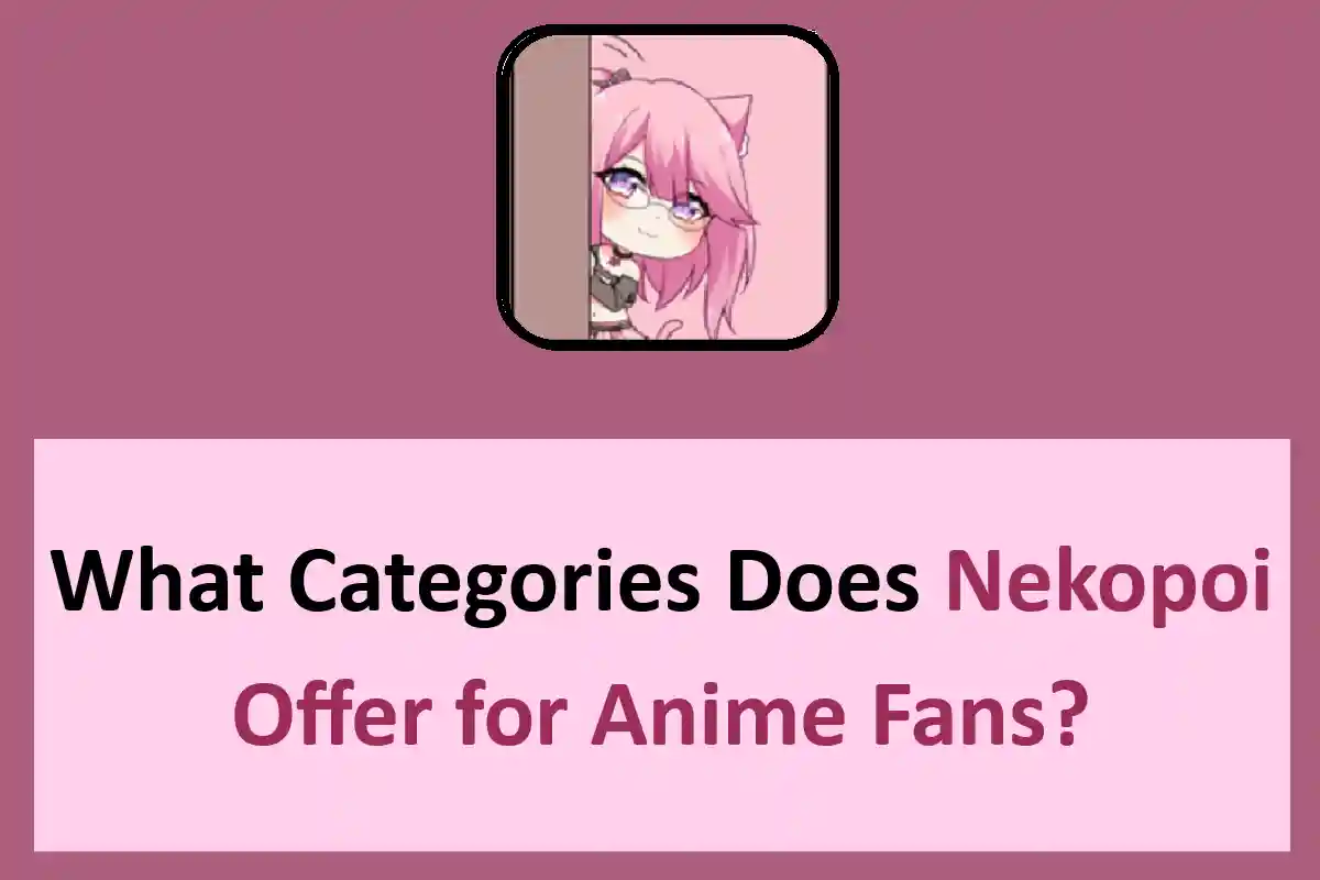 What Categories Does Nekopoi Offer for Anime Fans?